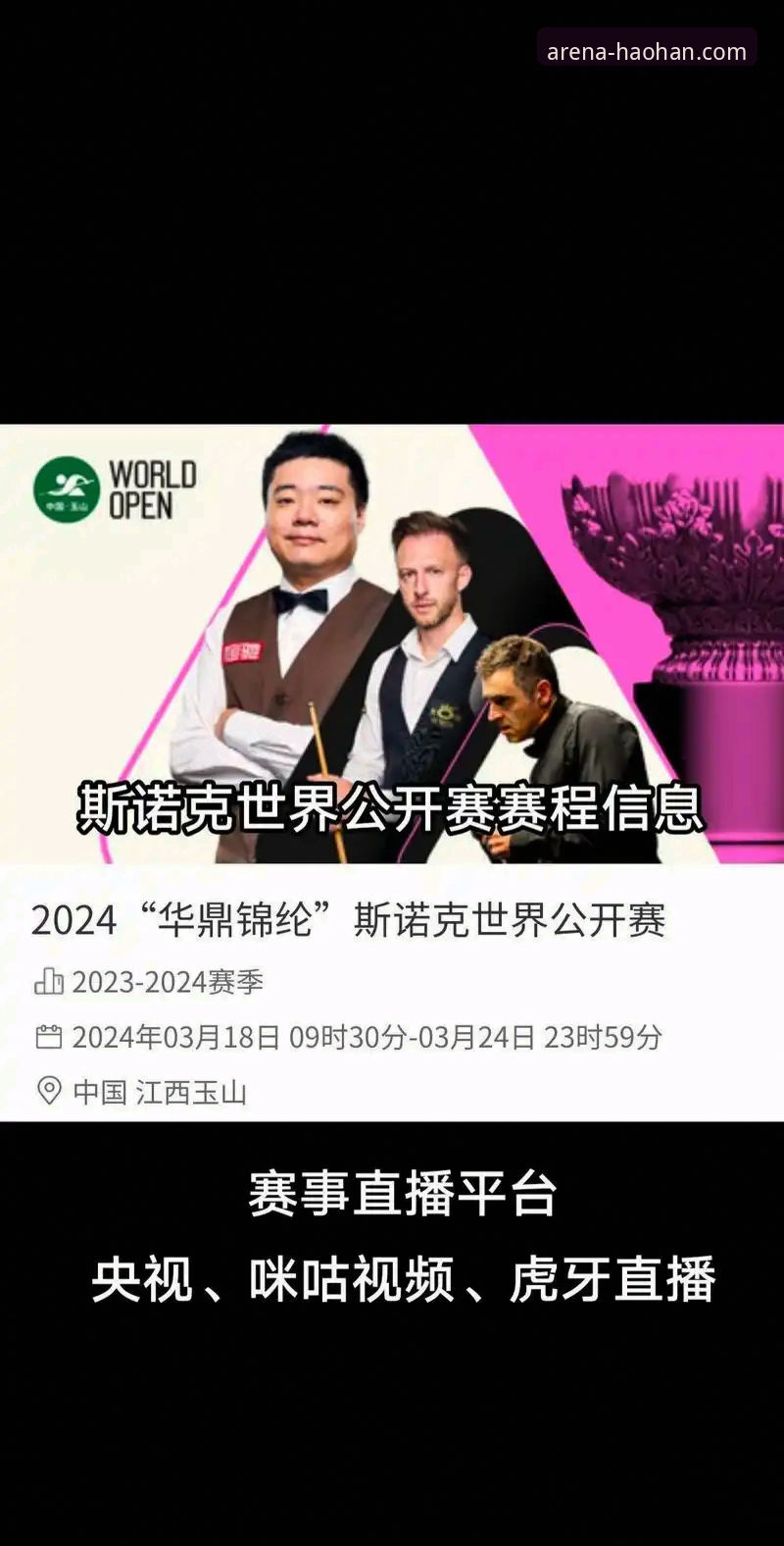 浩瀚体育电脑版全面评测：从安装体验到赛事直播的深度解析